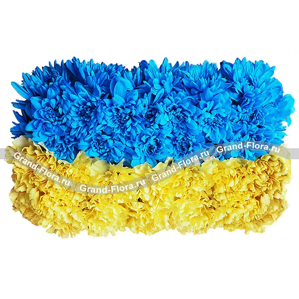 Украина - композиция в виде флага из гвоздик и хризантем 